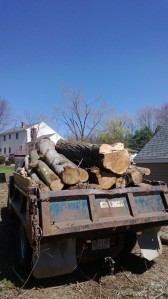 a massive load of wood we removed from butternut hollow road